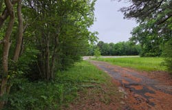 7515 E US Highway 80, Hawkins, TX 75765