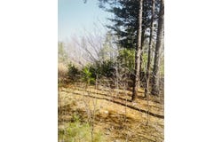 Garrison Ridge lot: 27, Pittsville, VA 24139