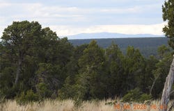 129 Tierra de Dios, Rowe, NM 87562