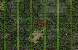 Old Grade Road, FL 33868