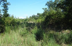 Garner Road, Denton, NC 27239