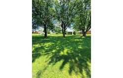 314 Bantam Ridge Road, Wintersville, OH 43953