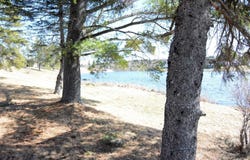 36 Pondview Street, Limestone, ME 04750