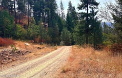 Moose Mtn lot: 1A, Priest River, ID 83856