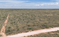County Road 320, Seminole, TX 79360