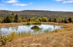 86 Lots Round Mountain Estates, Harrison, AR 72601