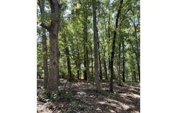 Clear Sky Drive, Marshfield, MO 65706