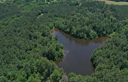 295 County Road 2462, Douglassville, TX 75560