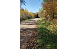 11326 BERG ROAD, KALEVA, MI 49645