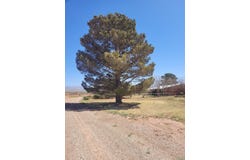 541 Riata RD, Tularosa, NM 88352-9999