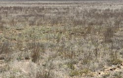 Hwy 160, Vilas, CO 81087
