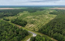 9953 Gravel Hill, Baconton, GA 31716