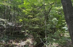 3645 Township Rd 161, Marengo, OH 43334