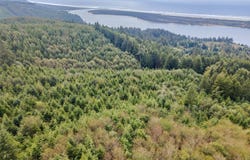 1202 Brighton Ave, RockawayBeach, OR 97136