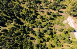 L11 B3 Hanson Rd, Harrison, ID 83833