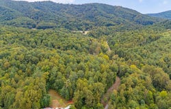 Willow Branch Rd, Boones Mill, VA 24065