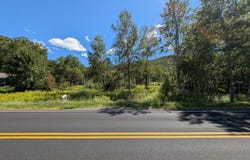 L19.11 South St, Windham, NY 12496