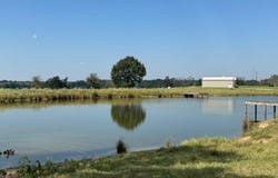 768 County Road 2220, Talco, TX 75487