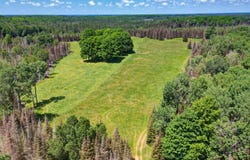 5807 Branham Rd, Three Lakes, WI 54568