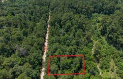 Zapata Way, WILLIS, TX 77378