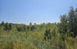 River Bend Road, Columbia, MS 39429