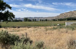 320 E 1350 S, Escalante, UT 84726