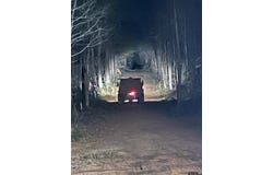 31 Acres off Watson Rd, Kilgore, TX 75662