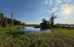 284 JEFFERIES ROAD, Rayville, LA 71269