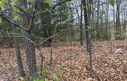Entry Road lot: 10, Ridgedale, MO 65739
