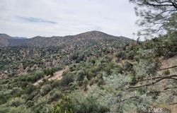 High Ridge Road, Caliente, CA 93518