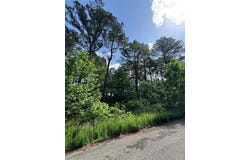 49 Blue Maple Trail, Broken Bow, OK 74728