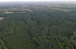 240 ac Highway 49 S, Nelson, VA 24580