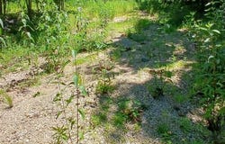 0000000 Easement, Annapolis, MO 63620