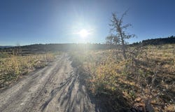 Curry Street, Sprague River, OR 97639