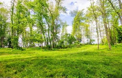 4686 Valley Road, Wooster, OH 44691