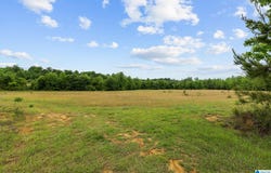 HIGHWAY 191 lot: 107 Acres, MAPLESVILLE, AL 36750
