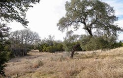 Whitetail Trail, San Saba, TX 76877