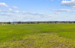 285th Avenue, Staples, MN 56479