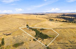 8 Acre Lot Red Tail Ridge Rd, Colfax, WA 99111