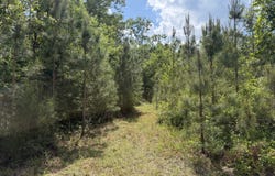 005 George Milling Rd, Cuthbert, GA 39840