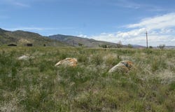 143 Southfork Rd, Cody, WY 82414