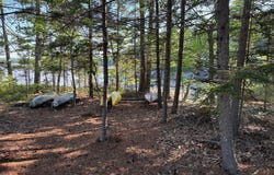 Pine Tree Lane, Boothbay, ME 04537