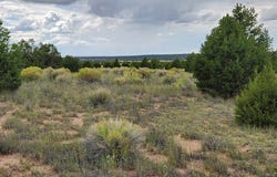 73 Tonto Pass, Quemado, NM 87829