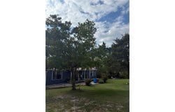 33 Dogwood Lane, Green Forest, AR 72638