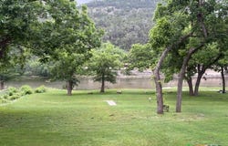540 River Run, New Braunfels, TX 78132