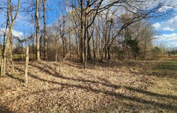 Aaron Road lot: 6, Sarah, MS 38665