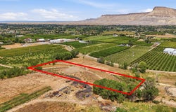 482 35 Road, Palisade, CO 81526