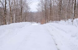 Markham Mountain Road, Andover, VT 05143
