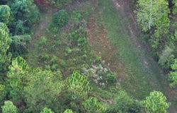 7960 HIGHWAY 191 lot: 182.36, MAPLESVILLE, AL 36750