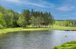 2607 Lower Dingle Hill Road, Andes, NY 13731